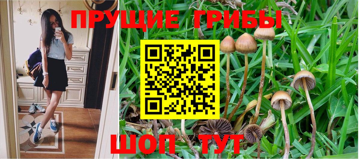сколько стоит  Псилоцибиновые грибы мицелий  Вход с VPN  Кириши 